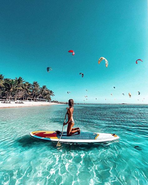 The Rise of Stand-Up Paddle Boarding: A Trend Analysis