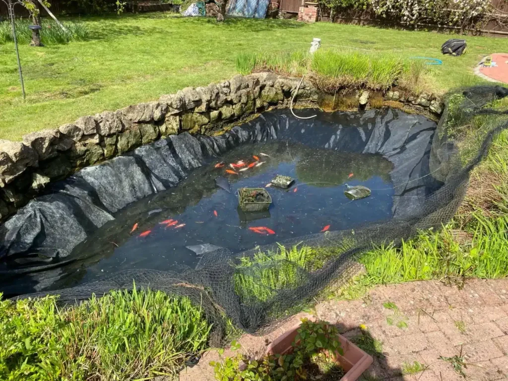 Buy Pond Plants Online – Fresh Plants Delivered to Your Door